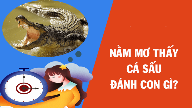 Mơ thấy cá sấu điềm gì? Đánh con gì? 