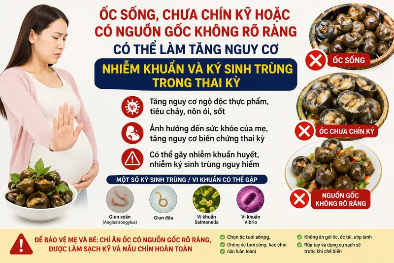 Ốc sống, chưa chín kỹ hoặc có nguồn gốc không rõ ràng có thể làm tăng nguy cơ nhiễm khuẩn và ký sinh trùng trong thai kỳ.