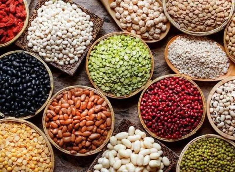 Đậu xanh, đậu đen, đậu đỏ, đậu gà và đậu lăng vừa cung cấp chất xơ vừa góp phần bổ sung protein thực vật