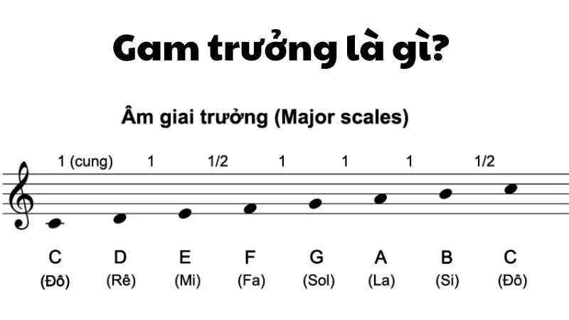 Gam trưởng và gam thứ thường tạo màu sắc khác nhau, nhưng cảm xúc thực tế còn phụ thuộc nhiều yếu tố khác.