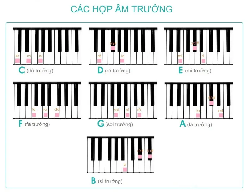 Hợp âm tạo nền hòa thanh, hỗ trợ giai điệu và hình thành cảm giác căng thẳng hoặc giải quyết.